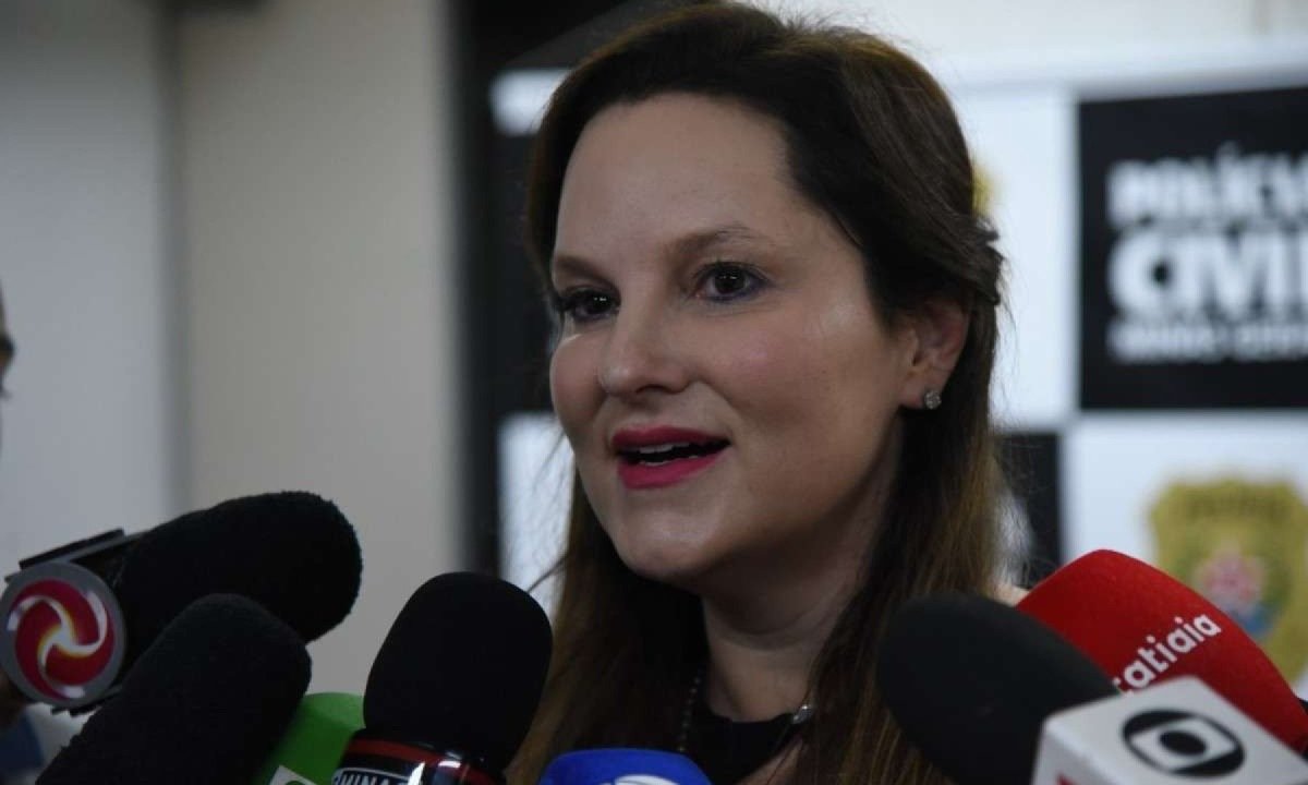 Coletiva sobre estupro de crianças e adolescentes. Na foto, a delegada Thais Degani -  (crédito: Gladyston Rodrigues/EM/D.A. Press)