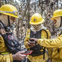 Ibama prevê a contratação de novos brigadistas para o combate a incêndios - Divulga&ccedil;&atilde;o/Ibama