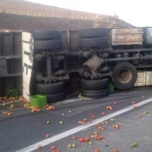 Caminhão carregado de tomate tomba e interdita BR-381, no Sul de Minas - Redes Sociais / Reprodução