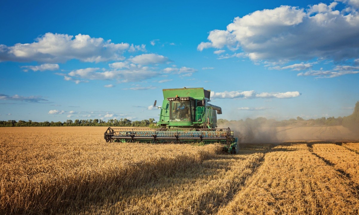 Puxado pelo agronegócio, PIB de Mato Grosso cresce 1.116,2% -  (crédito: DINO)