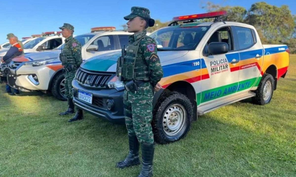 Operação "Verde Minas" tem por objetivo prevenir incêndio e prender criminosos em todo o estado -  (crédito: PMMG)