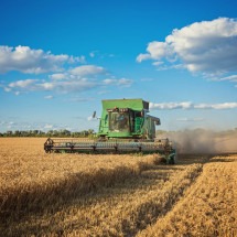 Puxado pelo agronegócio, PIB de Mato Grosso cresce 1.116,2% - DINO