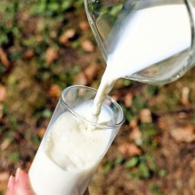 Leite integral, desnatado e zero lactose: confira as diferenças entre eles - Reprodu&ccedil;&atilde;o/Pixabay