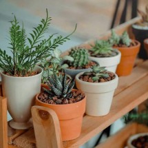 Saiba quais as 7 melhores plantas para cultivar em áreas externas pequenas - Min An de Pexels