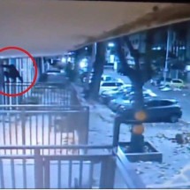 Vídeo: ‘Homem-Aranha do crime’ escala prédio e furta apartamento - Reprodução