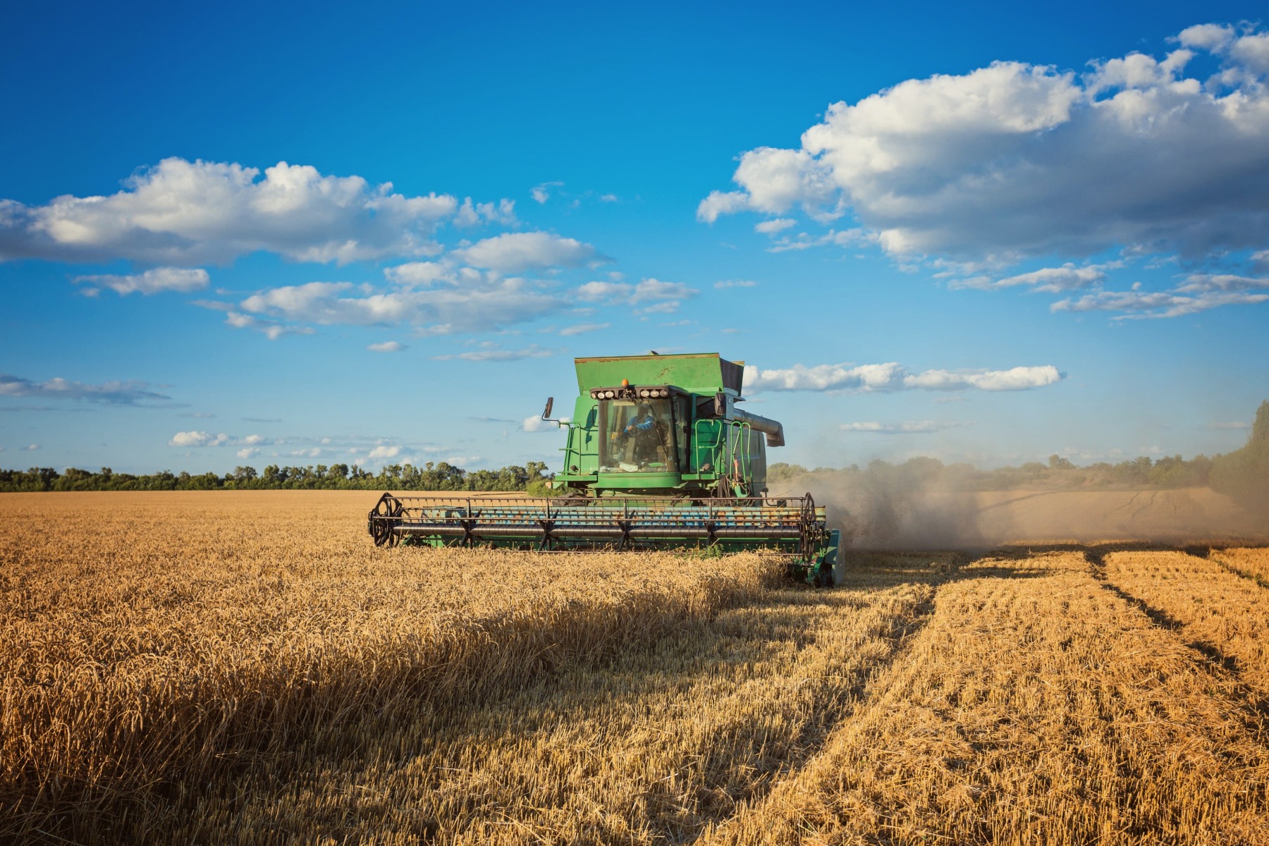 Puxado pelo agronegócio, PIB de Mato Grosso cresce 1.116,2% -  (crédito: DINO)