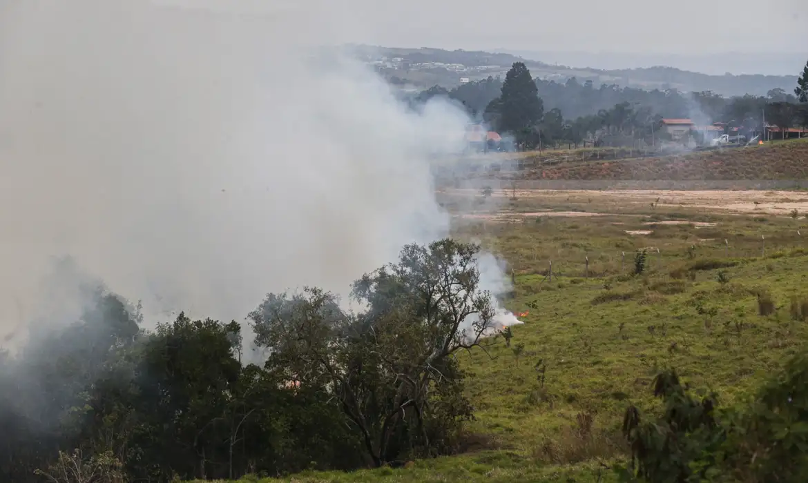 Cinco municípios paulistas estão com foco de incêndio ativo -  (crédito: EBC)