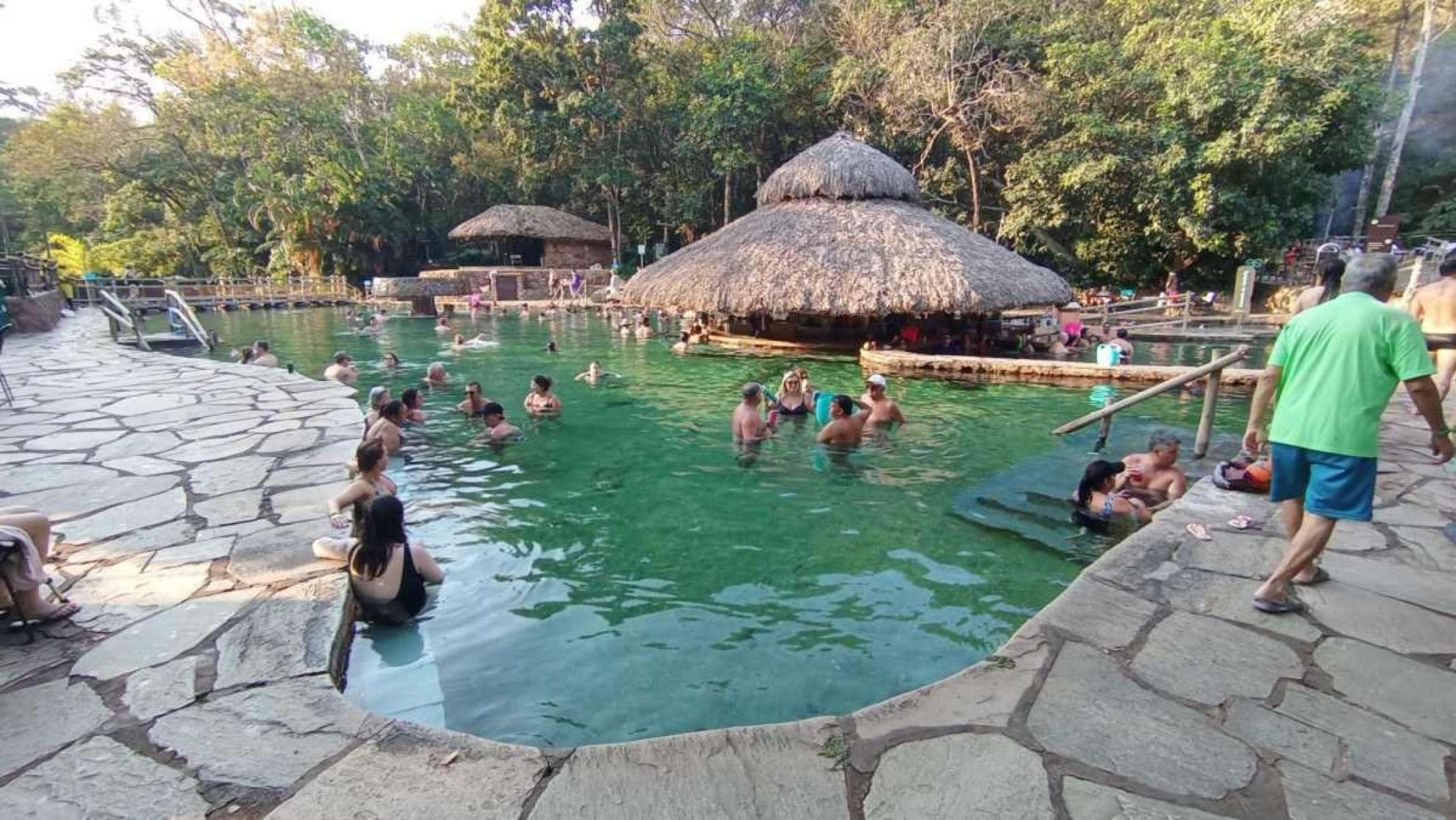 No final de tarde, sobre a copa das árvores, se dá encontro de parentes e família