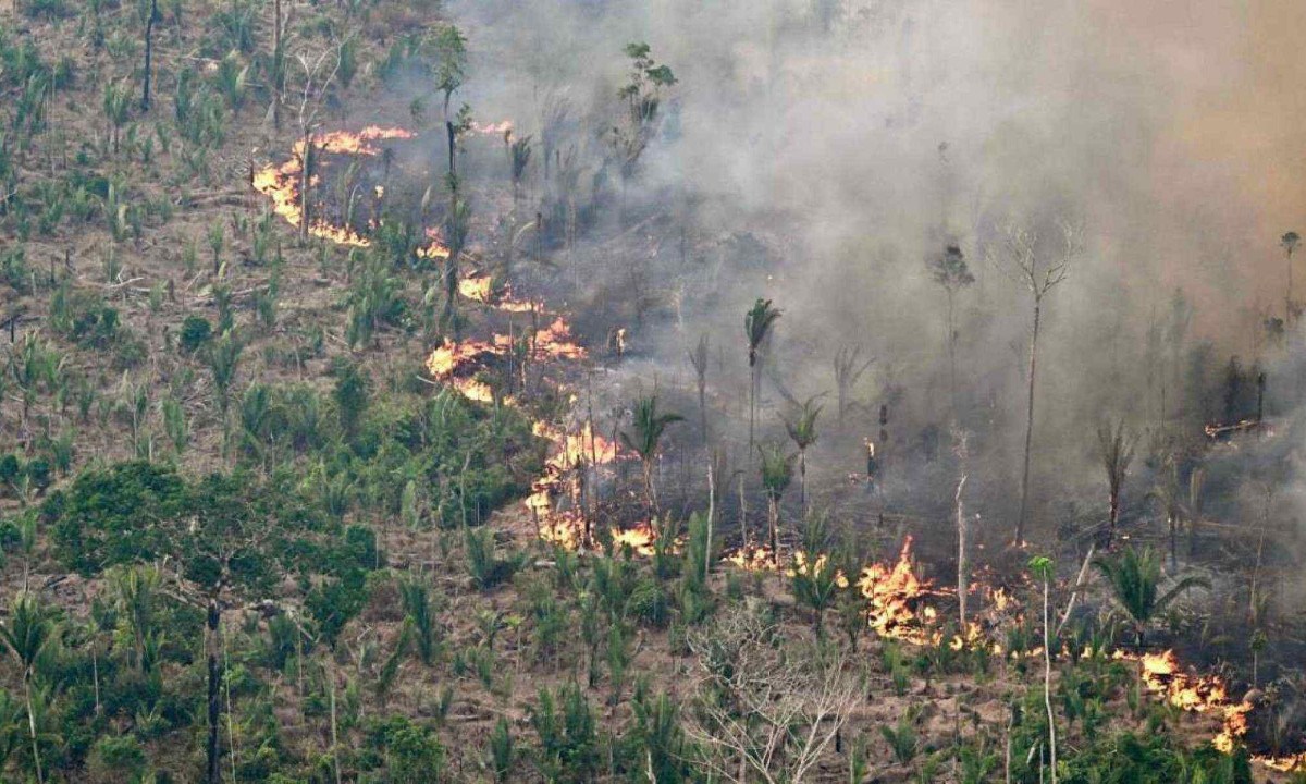 "O mundo e o Brasil não fizeram o que era preciso para mitigar o aquecimento global" -  (crédito: Evaristo Sá/AFP)