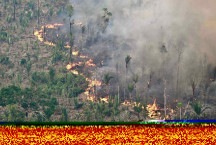 O fogo é crime e parte da emergência climática