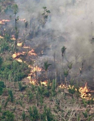 "O mundo e o Brasil não fizeram o que era preciso para mitigar o aquecimento global" -  (crédito: Evaristo Sá/AFP)