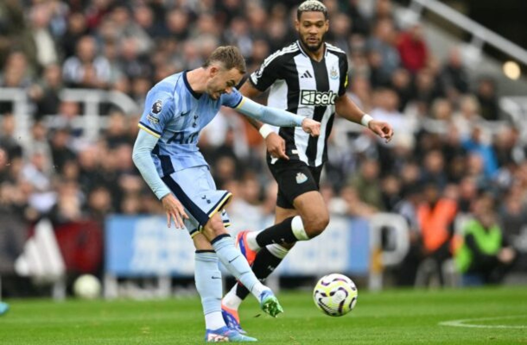 Newcastle leva sufoco em casa, mas vence o Tottenham