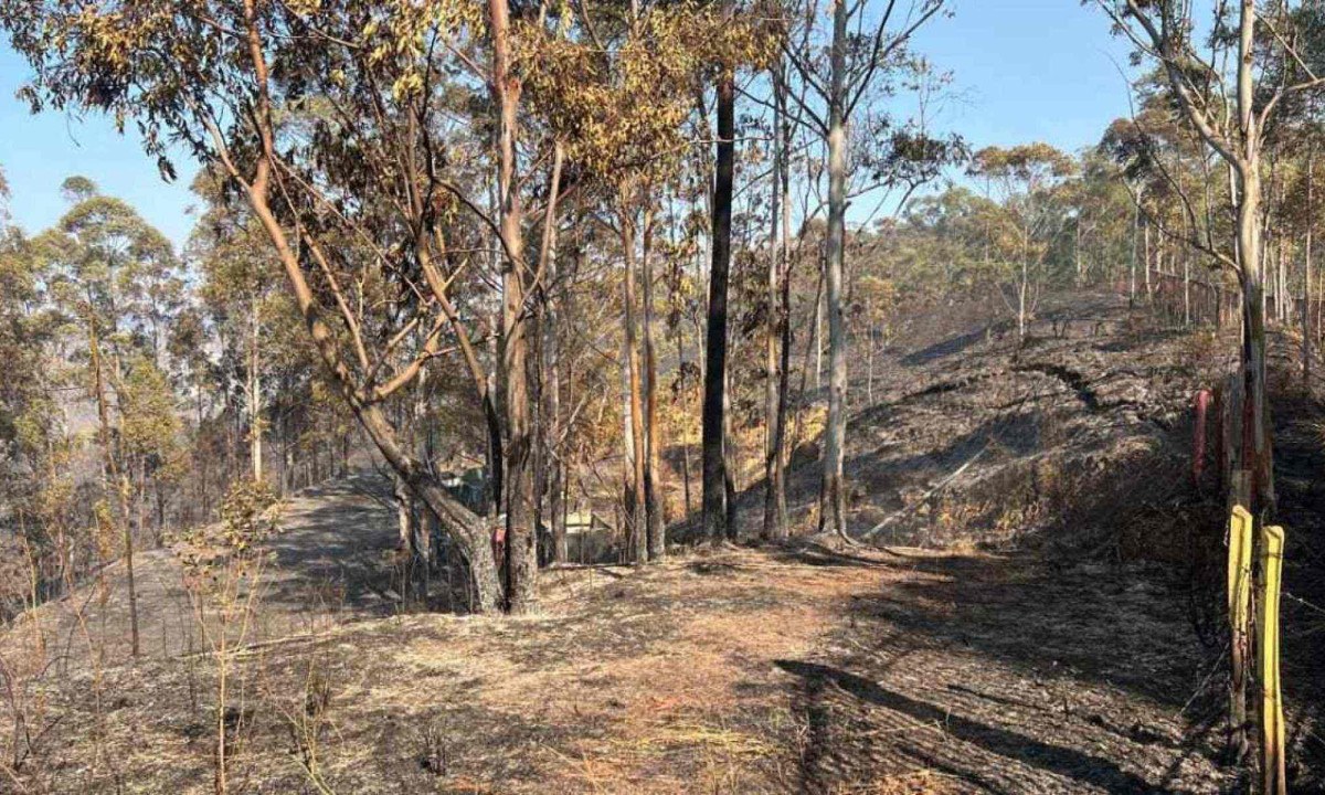 Mata do condomínio Ville Montagne foi atingida por um incêndio de grandes proporções na noite de domingo (1/9) -  (crédito: Edésio Ferreira / EM. / D.A  Press)