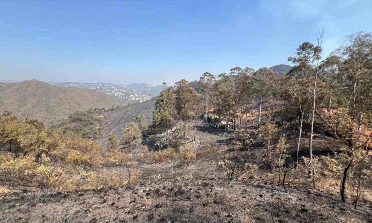 Mata do condomínio Ville Montagne foi atingida por um incêndio de grandes proporções na noite de domingo (1/9)
 -  (crédito: Edésio Ferreira / E.M /D.A Press)