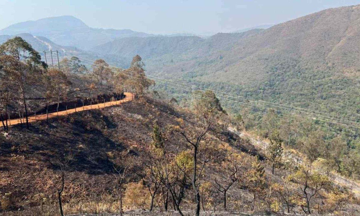 Mata do condomínio Ville Montagne foi atingida por um incêndio de grandes proporções na noite de domingo (1/9)
 -  (crédito: Edésio Ferreira / E.M /D.A Press)