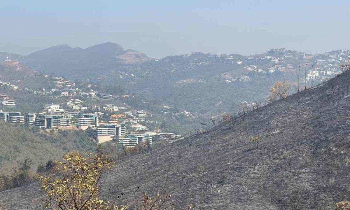 Incêndio de grandes proporções atingiu mata próxima a condomínio de Nova Lima -  (crédito: Edésio Ferreira / E.M / D.A Press)