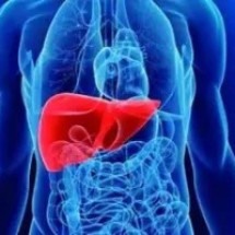 Doenças hepáticas enfrentam estigma e diagnóstico tardio - DINO