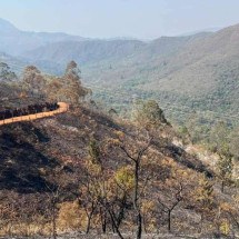 MG: Corpo de Bombeiros registra 1.155 incêndios durante o fim de semana - Edésio Ferreira / E.M /D.A Press