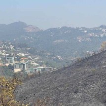 Incêndio em Nova Lima: moradores de condomínio relatam noite de medo - Edésio Ferreira / E.M / D.A Press