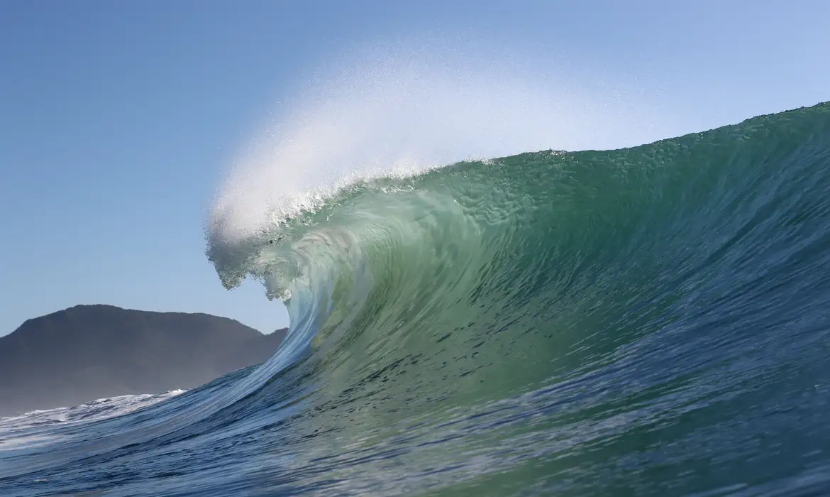 Quatro praias são eleitas para se tornarem santuário do surfe nacional -  (crédito: EBC)