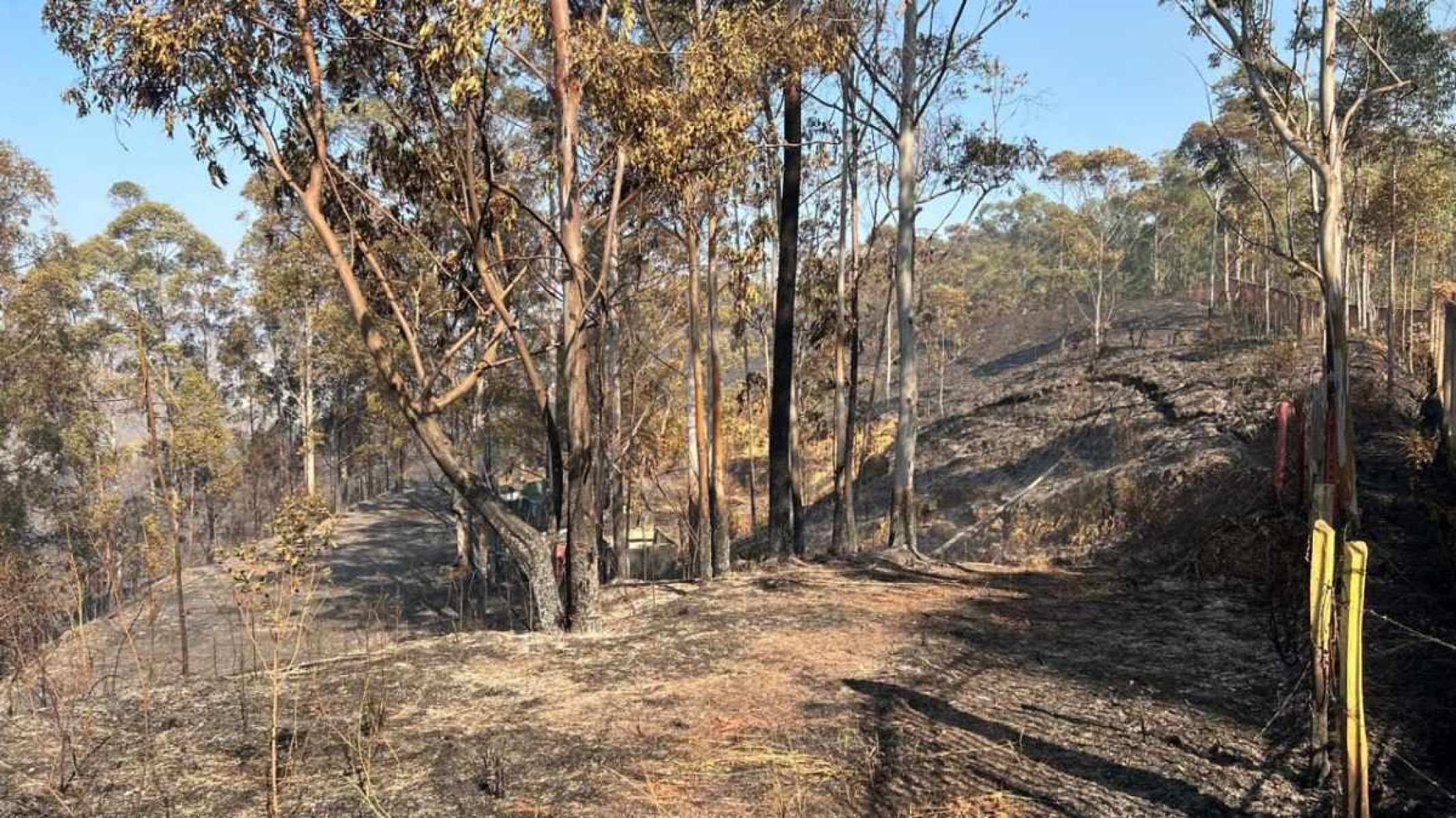 Grande BH: veja fotos de incêndio que consumiu mata de condomínio