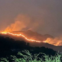 Reservas florestais de Minas registram nove pontos com focos de incêndios - CBMMG