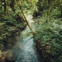 Explore o Parque Nacional do Iguaçu de bike -  (crédito: Uai Turismo)