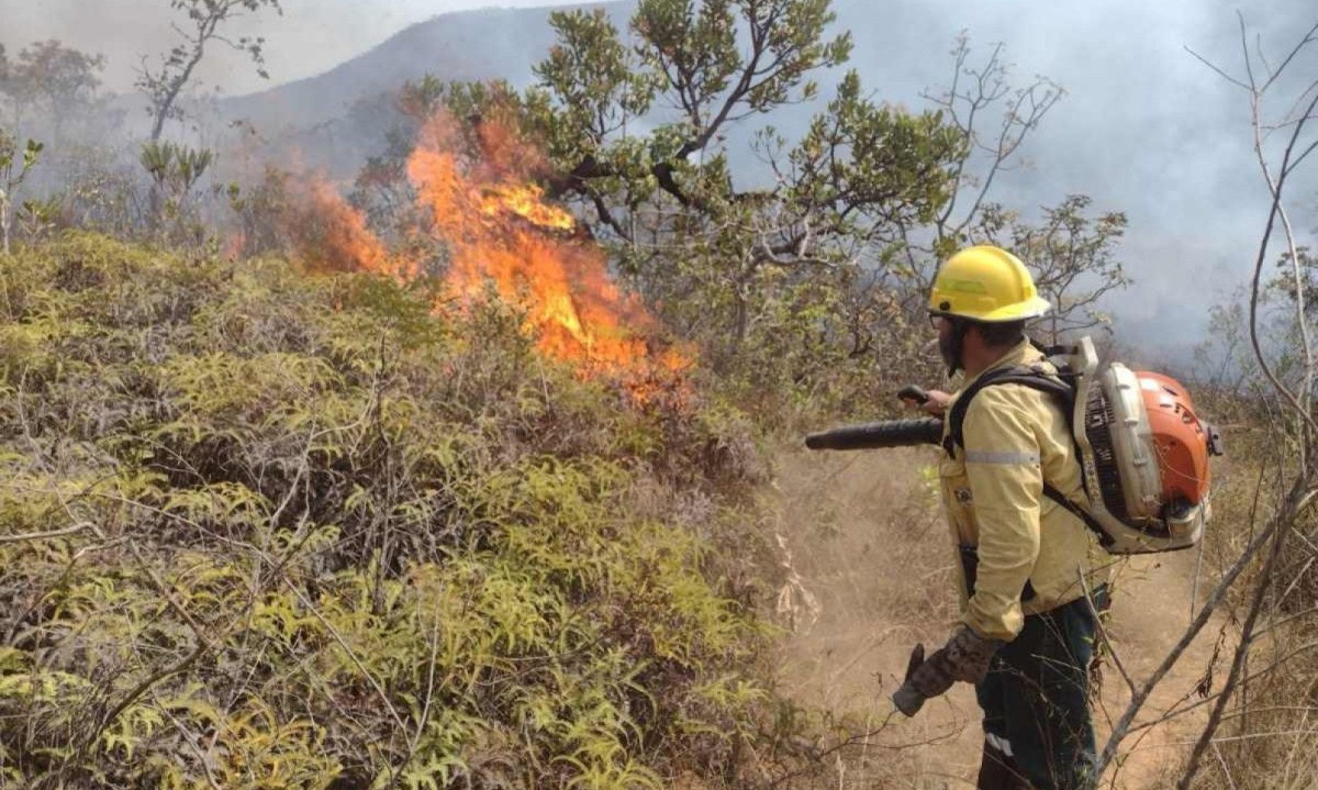 Desde o in&iacute;cio desta semana, o Corpo de Bombeiros de Minas Gerais combateu 948 inc&ecirc;ndios florestais em todo o estado -  (crédito: Brigada Florestal Rota MG-30 / Divulga&ccedil;&atilde;o)