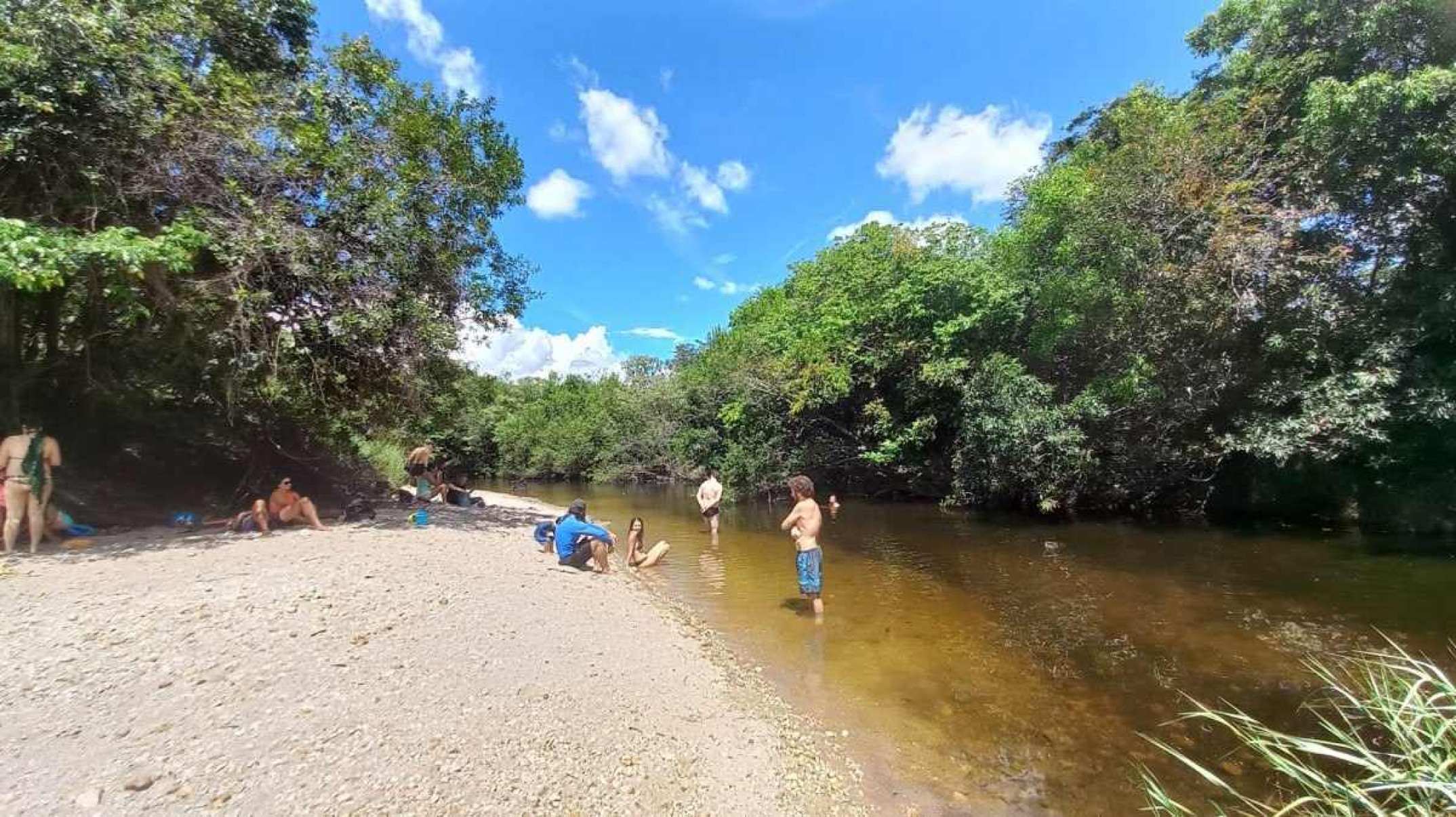 Permita-se a um Banho de Floresta neste final de semana