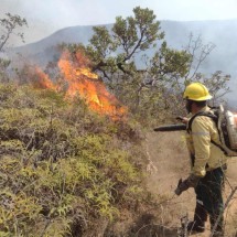 Grande BH: brigadistas e moradores se juntam para enfrentar incêndios - Brigada Florestal Rota MG-30 / Divulga&ccedil;&atilde;o