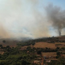 Bombeiros e brigadistas combatem queimada em parque estadual de Uberlândia - Rede de Noticias