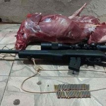 Veado abatido e sem pele é encontrado em porta-malas no interior de Minas - Divulga&ccedil;&atilde;o/PMMG