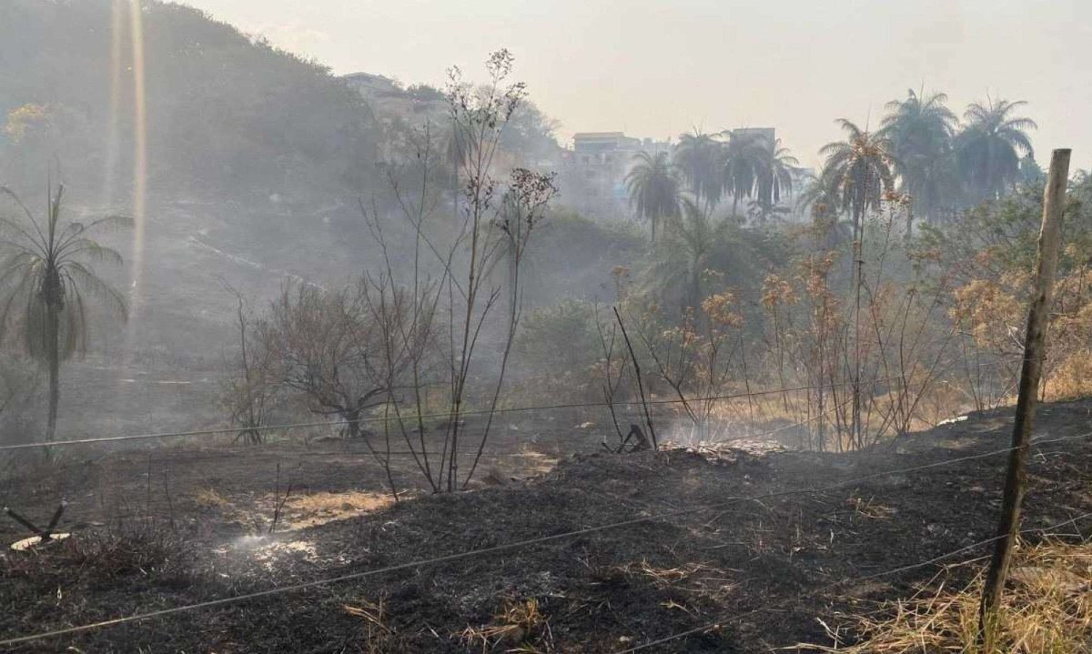 Incêndio atingiu mata localizada no Bairro Jardim Vitória -  (crédito: Hiago Rocha/SBT Alterosa)