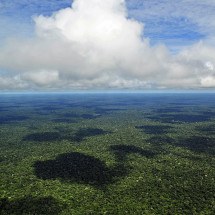 Rio com "buracos" é atração curiosa na Floresta Amazônica - Neil Palmer 