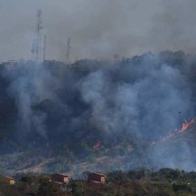 ‘Apaga o Fogo!’: plataforma monitora áreas de vegetação em tempo real - Gladyston Rodrigues/EM/D.A Press