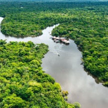 O dia da Amazônia chama a atenção para o cuidado com o meio ambiente (Imagem: Curioso.Photography | Shutterstock) -  (crédito: EdiCase)