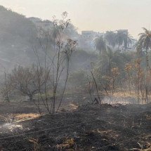 Incêndio em mata atinge casa e assusta moradores em Belo Horizonte - Hiago Rocha/SBT Alterosa