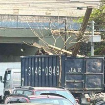 Caminhão carregado de entulhos enrosca em fios de energia e derruba poste - Arquivo pessoal