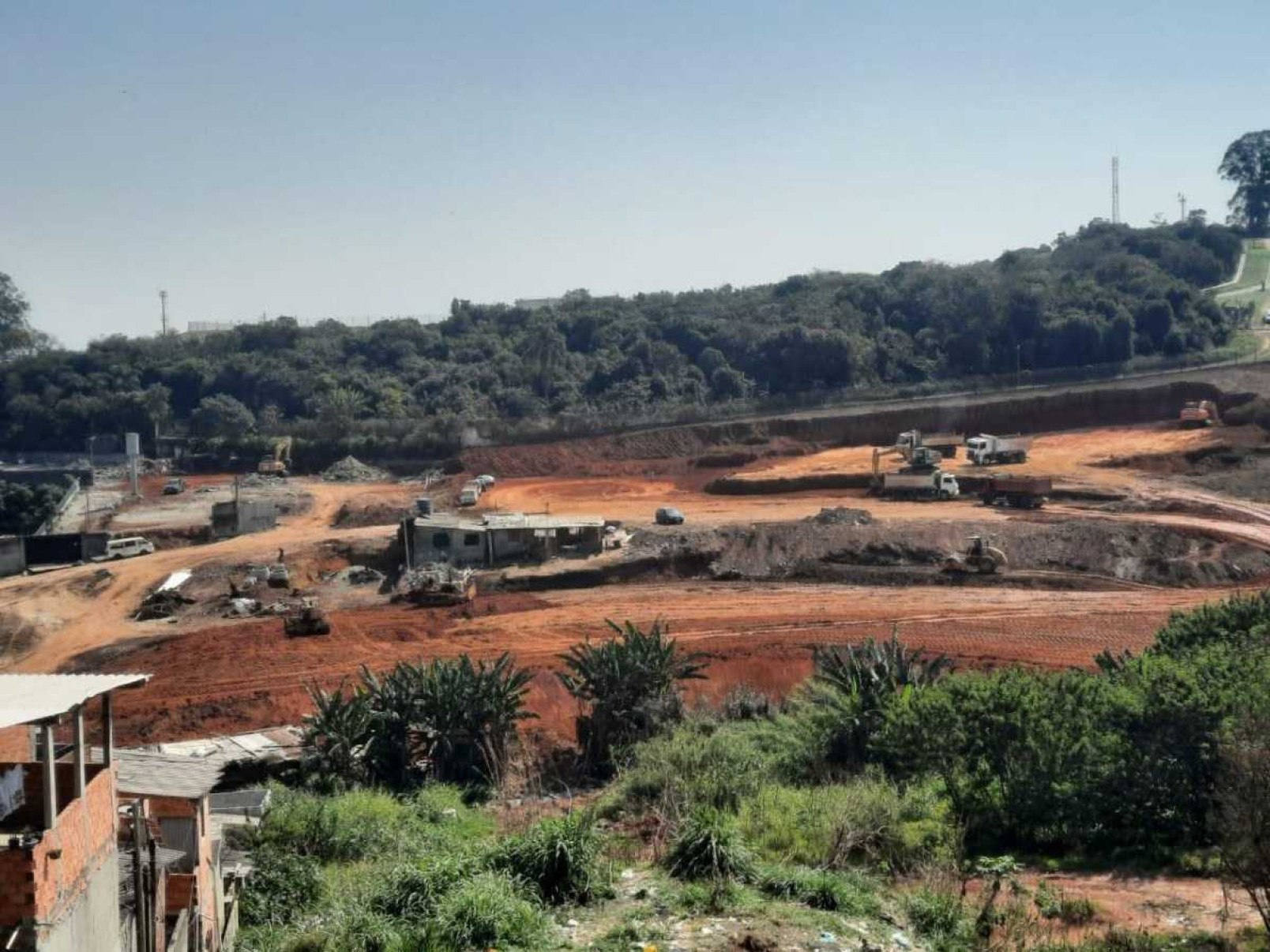 Facção derruba árvores e desmata terrenos sem nenhuma autorização de órgãos ambientais.