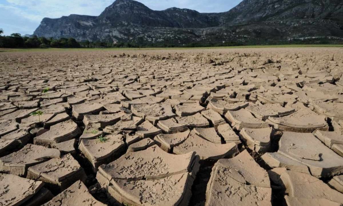 Cerca de 137 cidades de Minas Gerais estão em situação de emergência por conta da estiagem -  (crédito: Leandro Couri/EM/D.A.Press)