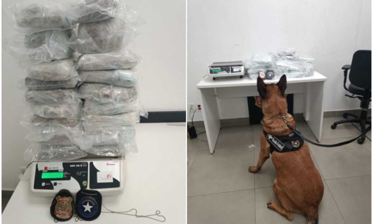 Ao ser confrontado, suspeito afirmou que as substâncias saíram e Porto Velho, em Rondônia, para serem vendidas na capital mineira -  (crédito: PF / Reprodução)