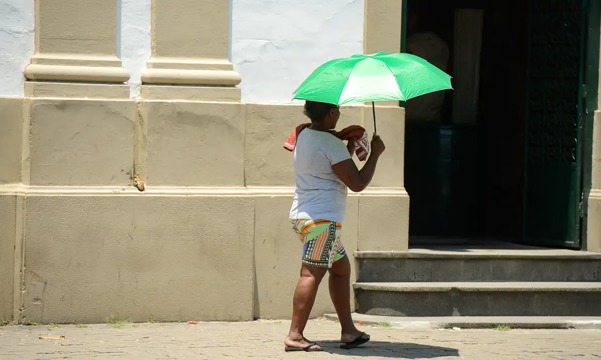 Defesa Civil renova alerta de risco elevado para incêndios em SP -  (crédito: EBC)