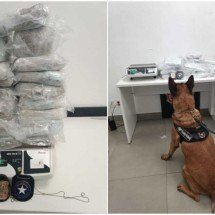 Homem é preso com 21kg de skunk ao desembarcar no Aeroporto de BH - PF / Reprodução