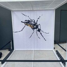 Exposição gratuita sobre prevenção à dengue está em exibição em BH - Takeda/ Divulgação 