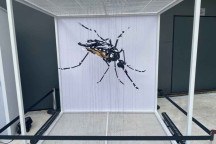 Exposição gratuita sobre prevenção à dengue está em exibição em BH