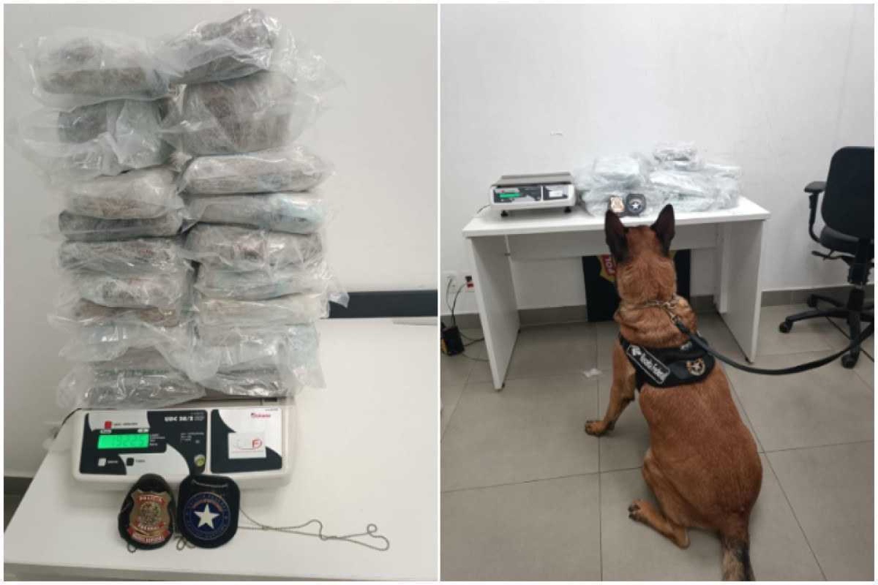 Homem é preso com 21kg de skunk ao desembarcar no Aeroporto de BH