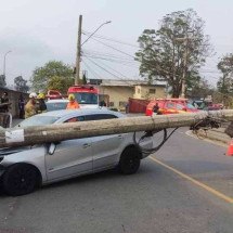 Motorista morre ao bater e derrubar poste em Minas - CBMMG