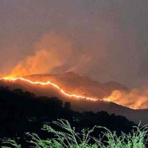 Minas tem cidades há 159 dias sem chuva, fogo em matas e cachoeira seca - CBMMG - 3/9/2024/Divulgação 