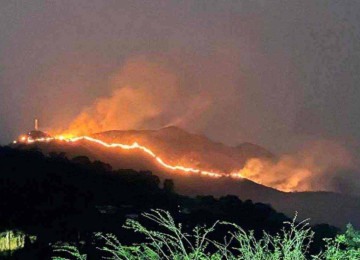 Reservas florestais de Minas registram neste mês pontos com focos de incêndios, que os bombeiros trabalham para combater -  (crédito: CBMMG - 3/9/2024/Divulgação )