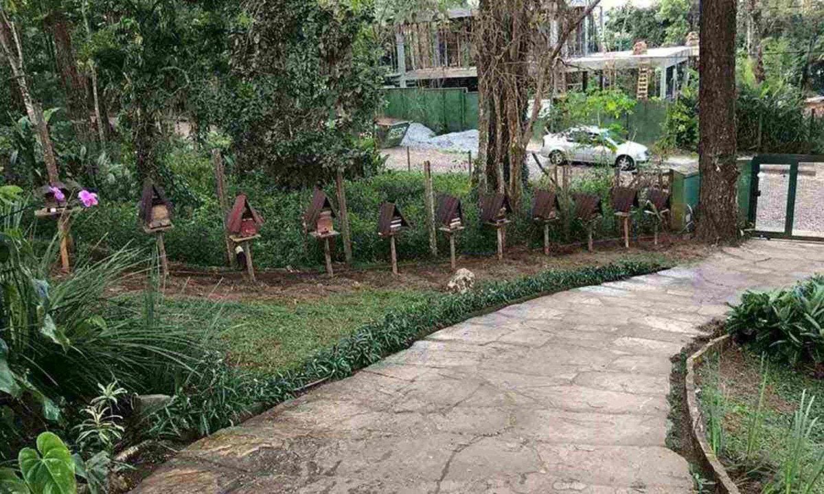 o número de abelhas na natureza diminuiu muito. OS habitats naturais foram substituídos por prédios e casas no meio urbano -  (crédito: Alessandro Oliveira/Divulgação)